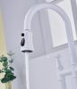 Bridge Kitchen Faucet with Pull-Down Sprayhead in Spot