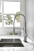 Kitchen Faucets Commercial Single Handle Single Lever Pull Down Sprayer Spring Kitchen Sink Faucet