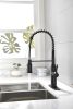 Kitchen Faucets Commercial Single Handle Single Lever Pull Down Sprayer Spring Kitchen Sink Faucet